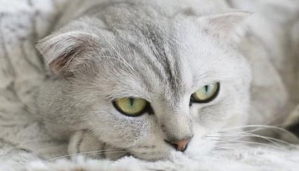 爱游戏平台-开云娱乐:把娱乐带进日常的心动体验